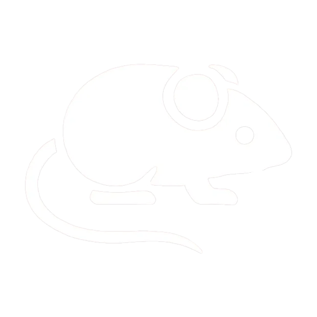 mouse-icon-no-bg