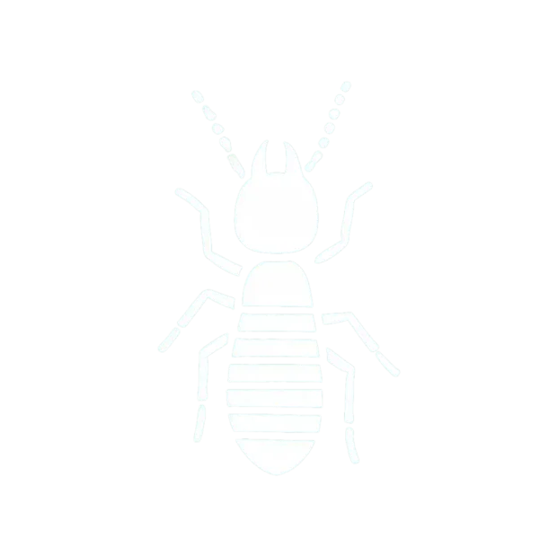 Pest Control Near Me