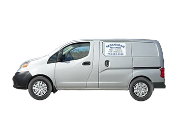 Pest Control Near Me